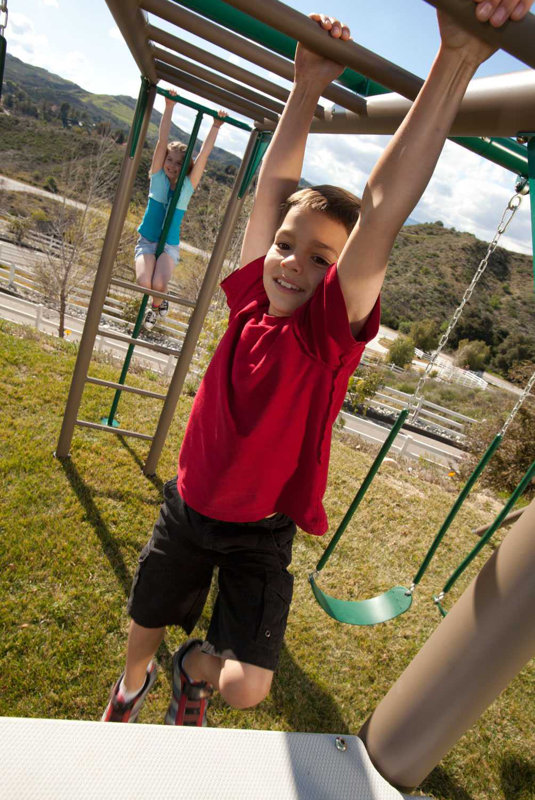 Lifetime Earthtone Monkey Bar Adventure Swing Set & Reviews Wayfair